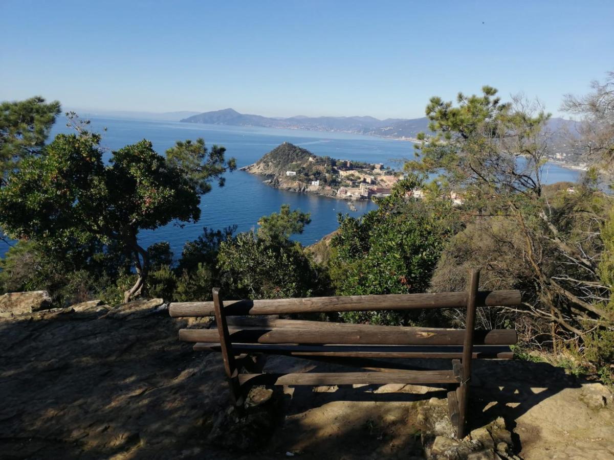 Hotel Sereno Sestri Levante Dış mekan fotoğraf