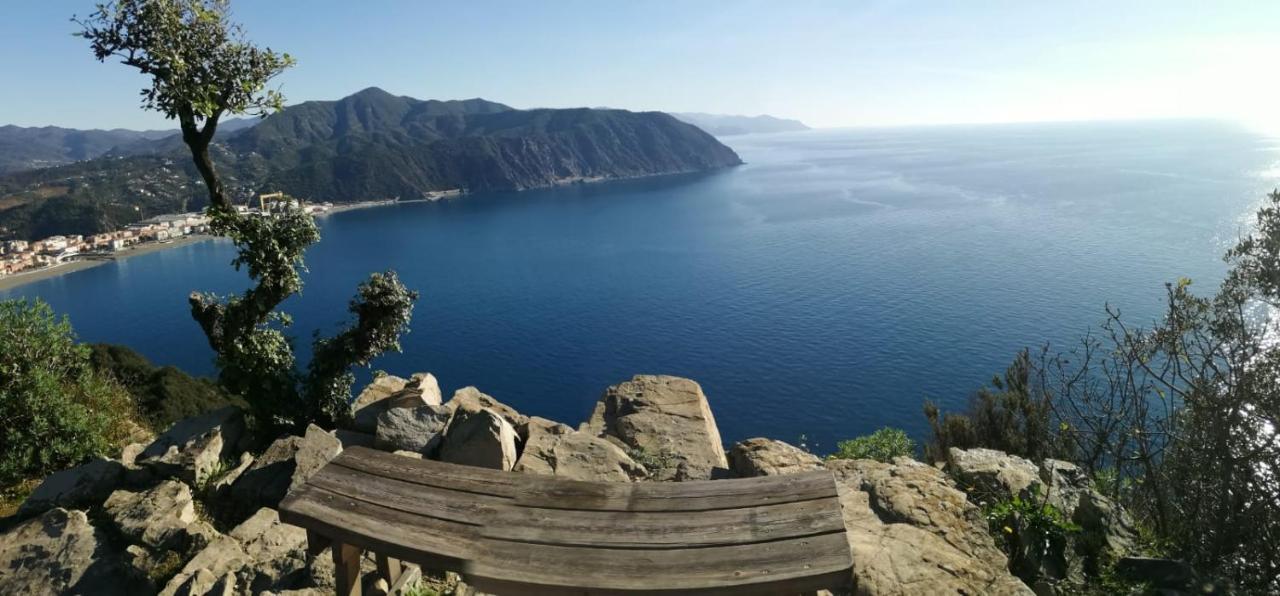 Hotel Sereno Sestri Levante Dış mekan fotoğraf
