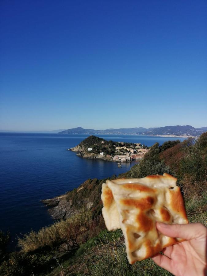 Hotel Sereno Sestri Levante Dış mekan fotoğraf
