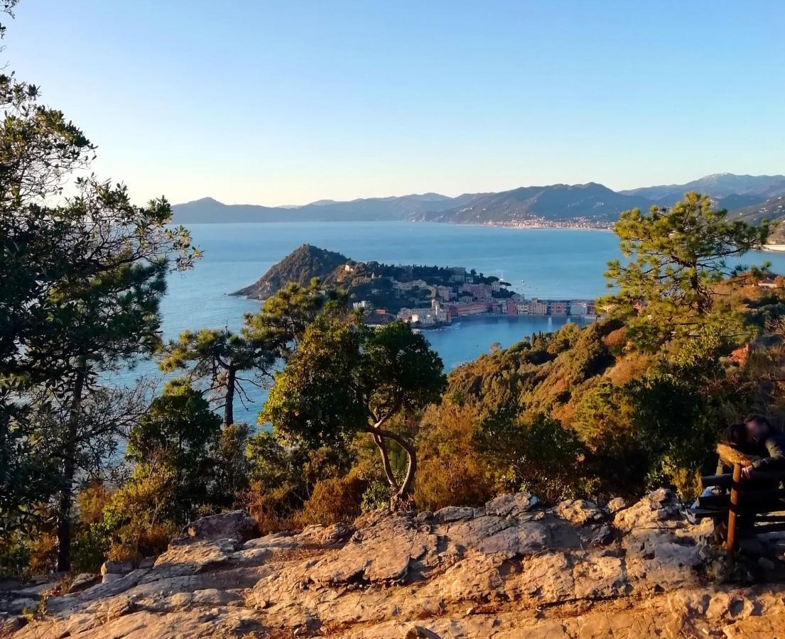 Hotel Sereno Sestri Levante Dış mekan fotoğraf